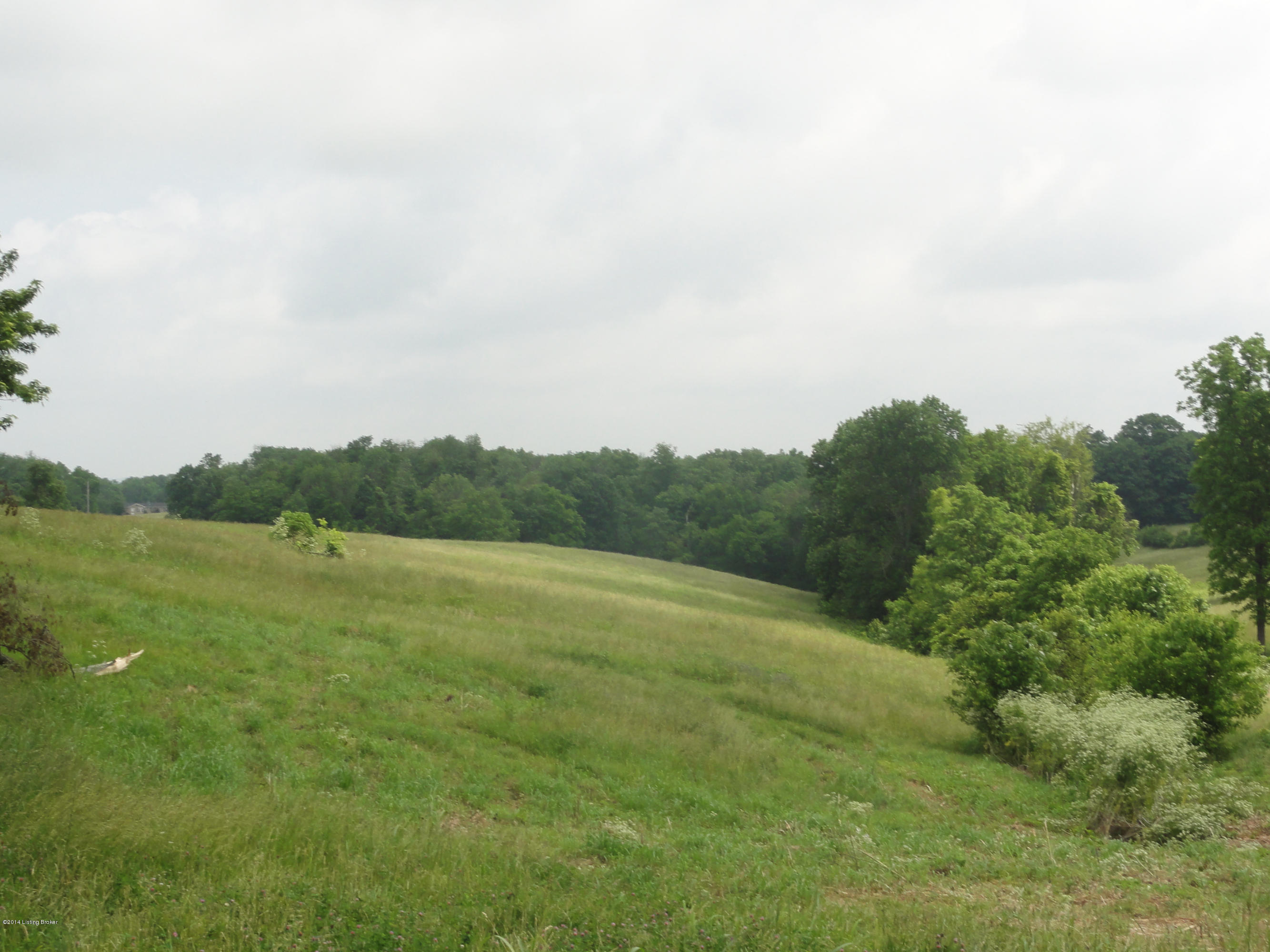 11351 Mt Eden Road Waddy, KY 40076 - Photo 3 of 7 DSC02733
