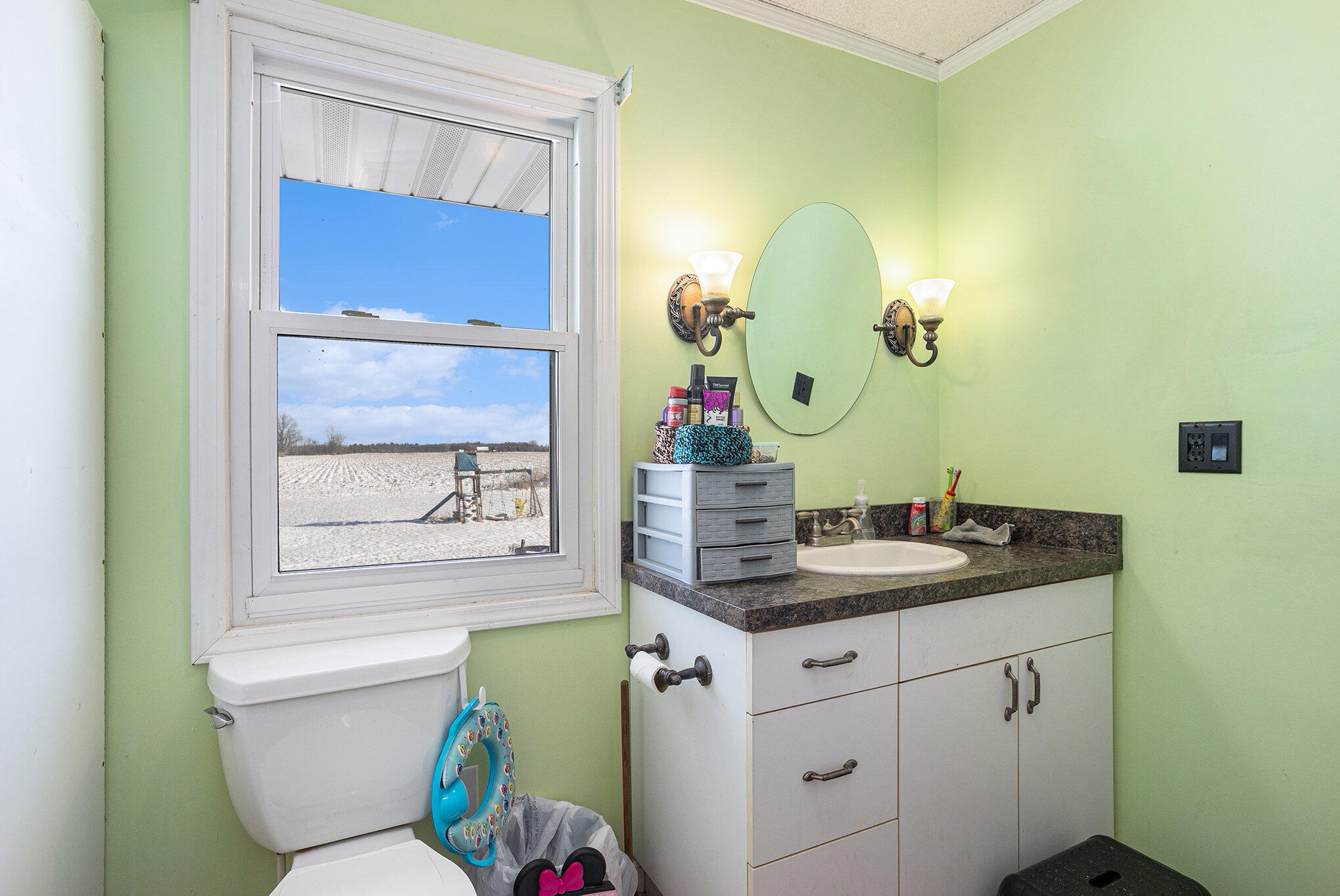 5740 North Coleman Road Coleman, MI 48618 - Photo 5 of 27 009_0z7a6380-2_454