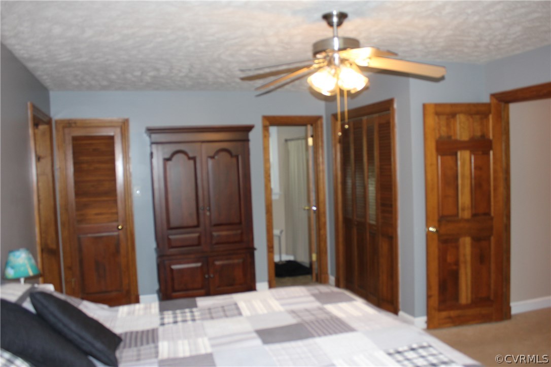 9321 Goodman Road Quinton, VA 23141 - Photo 25 of 44 MASTER BEDROOM