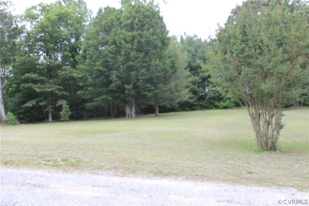 9321 Goodman Road Quinton, VA 23141 - Photo 41 of 44 BEAUTIFUL LEVEL PROPERTY TO ENJOY THE WILDLIFE .