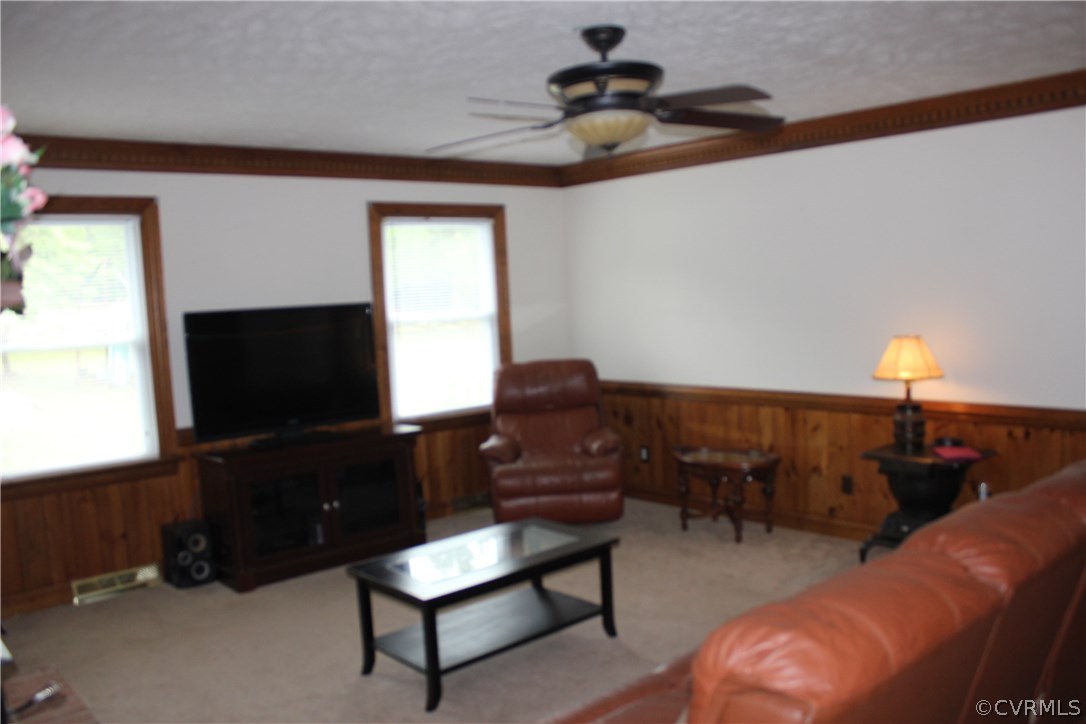 9321 Goodman Road Quinton, VA 23141 - Photo 10 of 44 FAMILY ROOM,MASONARY FIREPLACE,CARPET,WAINCOTTING