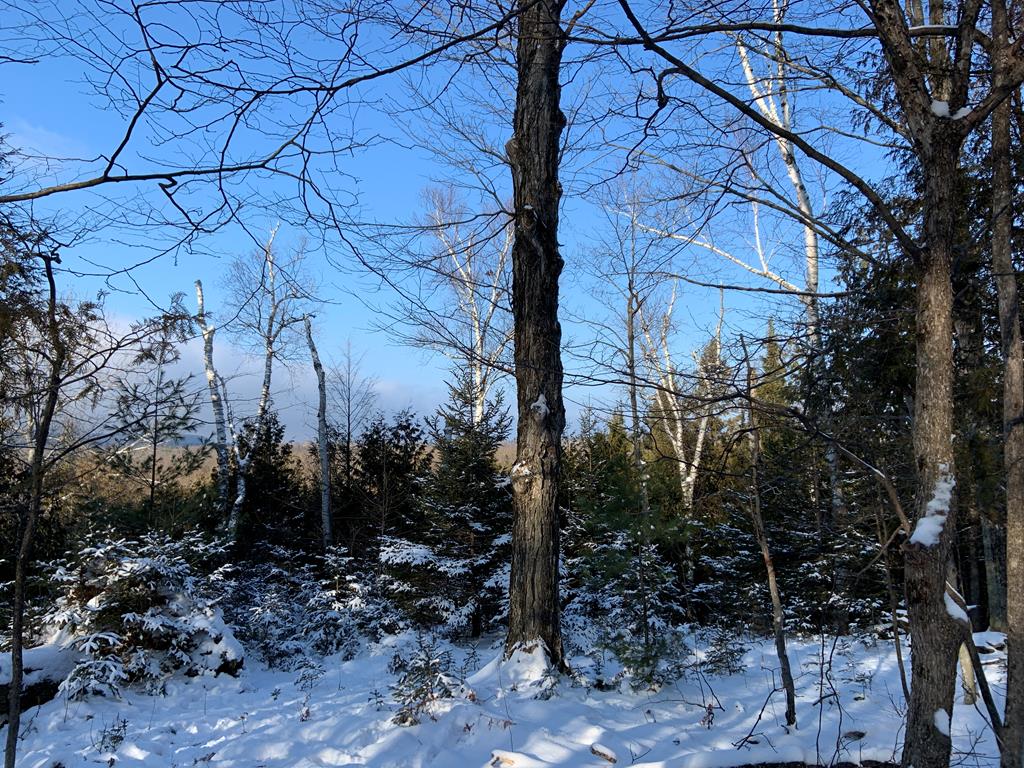 Lot 43 Gibraltar Road Fish Creek, WI 54212 - Photo 17 of 18