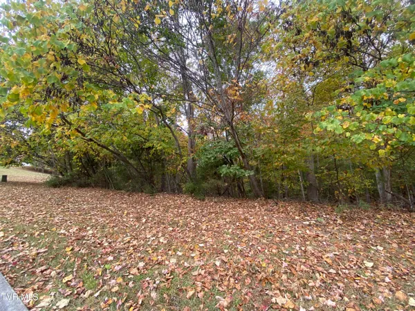 $78,000 | Tbd Allison Timbers Road, Unit 13, Piney Flats, TN 37686