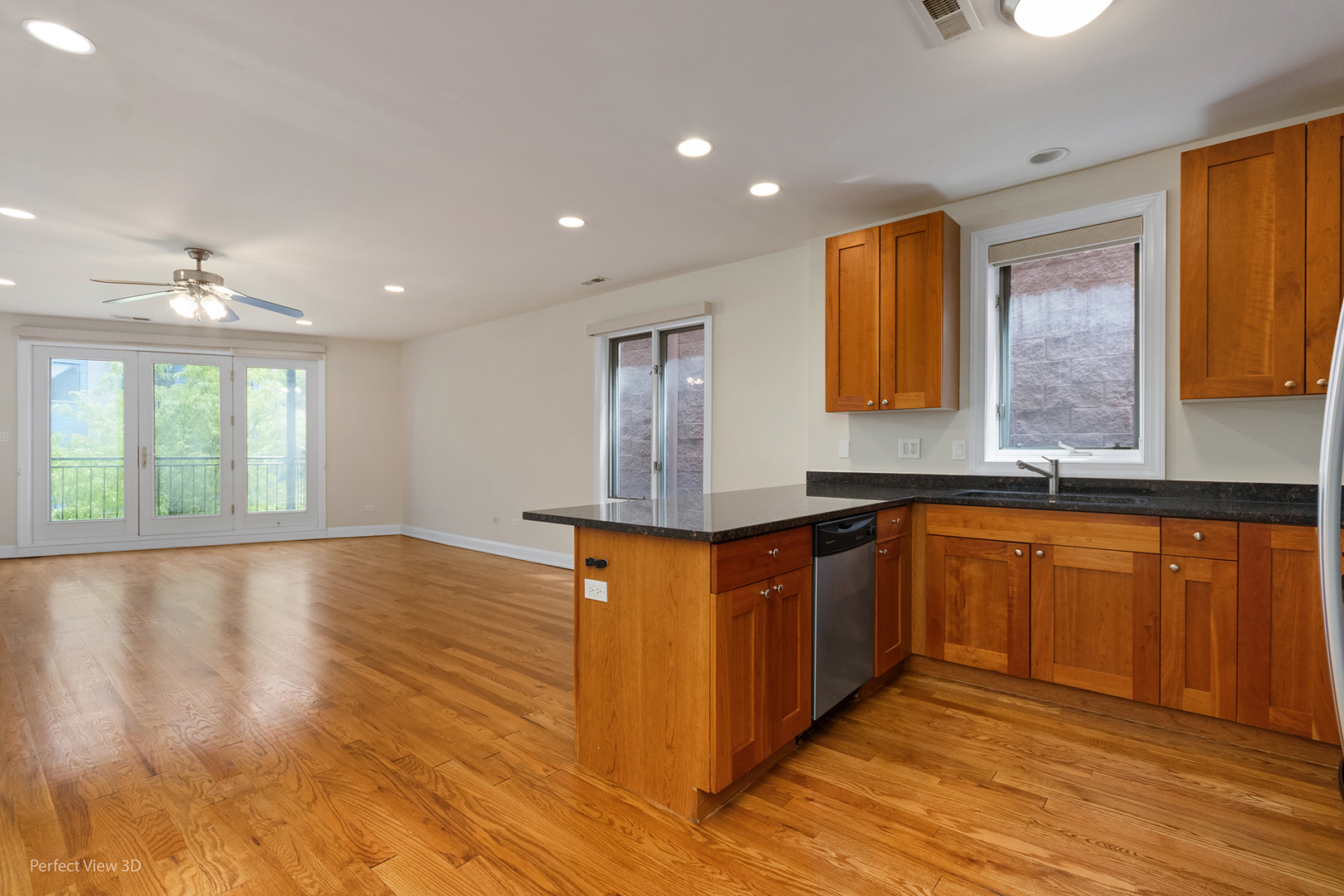 25 East 26th Street, Unit 4 Chicago, IL 60616 - Photo 9 of 24 a kitchen with stainless steel appliances granite countertop a sink and wooden floor