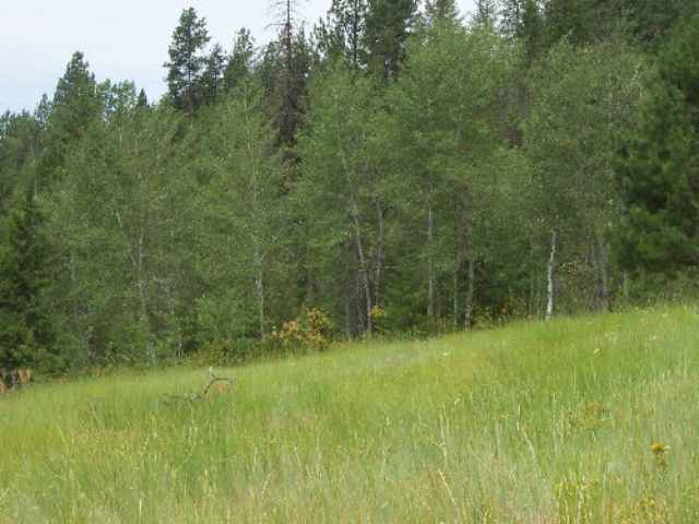 Tbd Old Dominion Rd/lt C Colville, WA 99114 - Photo 1 of 4 Gallery Image 1