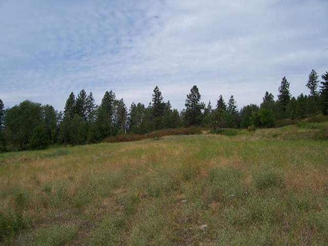 Tbd Old Dominion Rd/lt C Colville, WA 99114 - Photo 2 of 4 Gallery Image 2