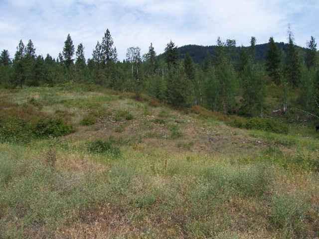 Tbd Old Dominion Rd/lt C Colville, WA 99114 - Photo 4 of 4 Gallery Image 4