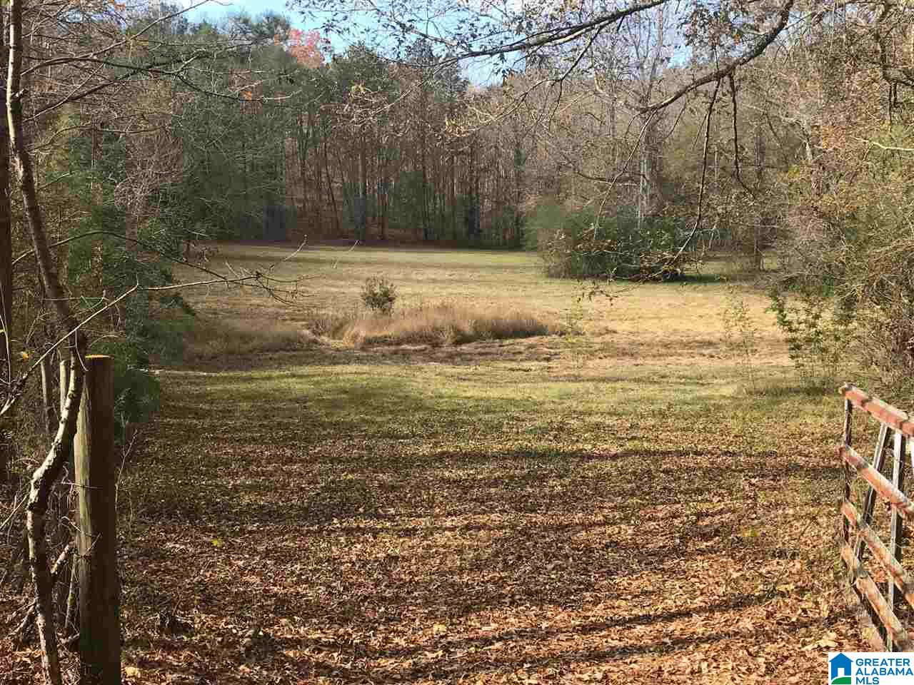 3415 Logan Martin Dam Road, Unit 48 / ACRES Vincent, AL 35178 - Photo 24 of 32