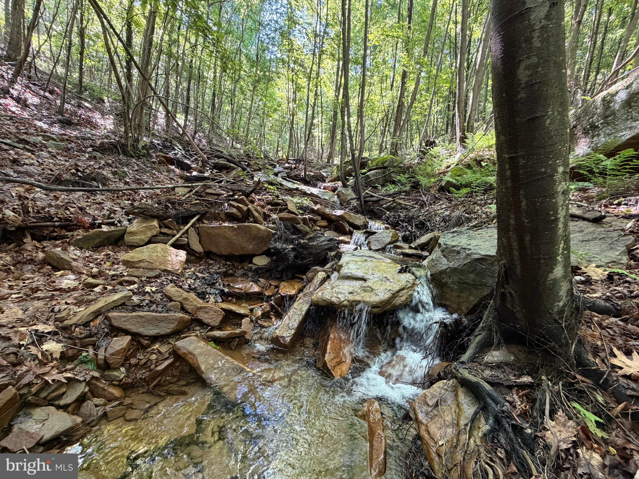 848 Sugar Camp Road Clearfield, PA 16830 - Photo 107 of 118