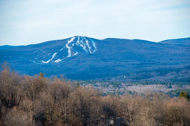 $298,500 | 69 Benson Fuller Drive, Unit 29, Winhall, VT 05340