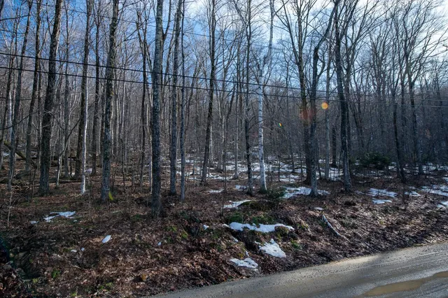 $298,500 | 69 Benson Fuller Drive, Unit 29, Winhall, VT 05340