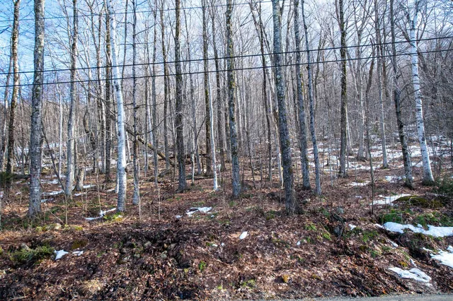 $298,500 | 69 Benson Fuller Drive, Unit 29, Winhall, VT 05340