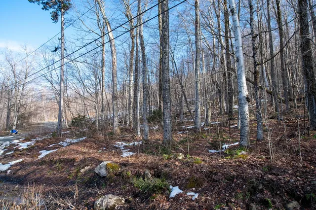 $298,500 | 69 Benson Fuller Drive, Unit 29, Winhall, VT 05340