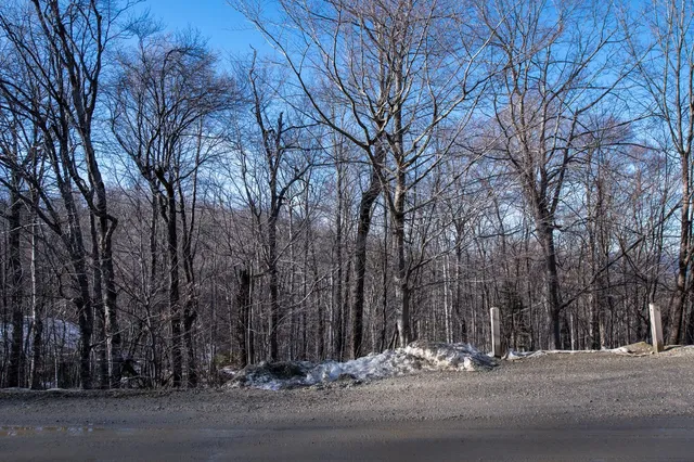 $298,500 | 69 Benson Fuller Drive, Unit 29, Winhall, VT 05340