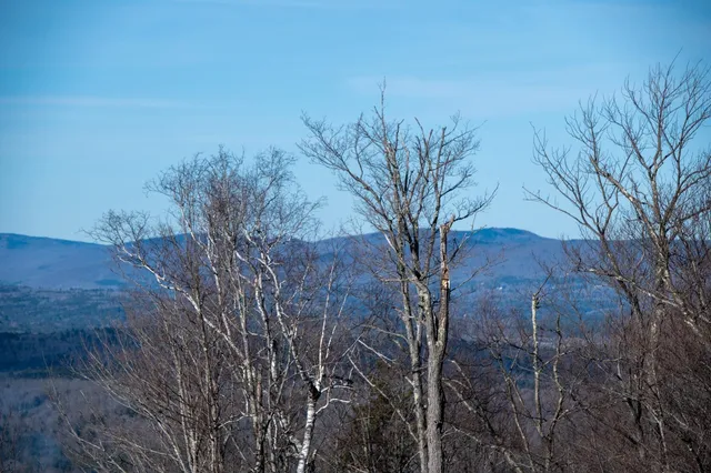 $298,500 | 69 Benson Fuller Drive, Unit 29, Winhall, VT 05340