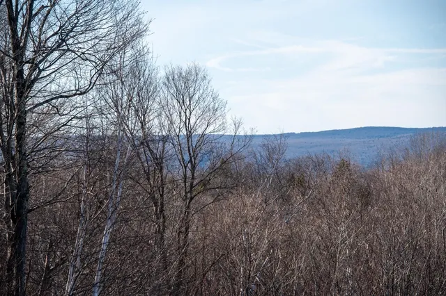 $298,500 | 69 Benson Fuller Drive, Unit 29, Winhall, VT 05340