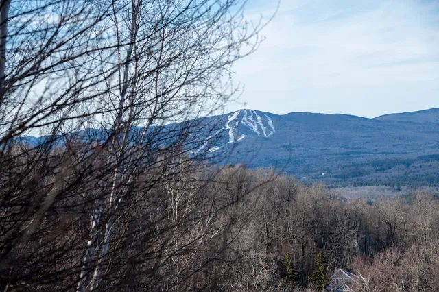 $298,500 | 69 Benson Fuller Drive, Unit 29, Winhall, VT 05340