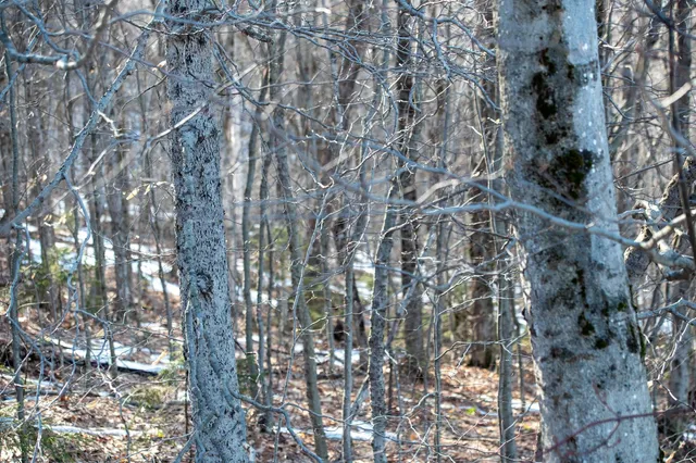 $298,500 | 69 Benson Fuller Drive, Unit 29, Winhall, VT 05340