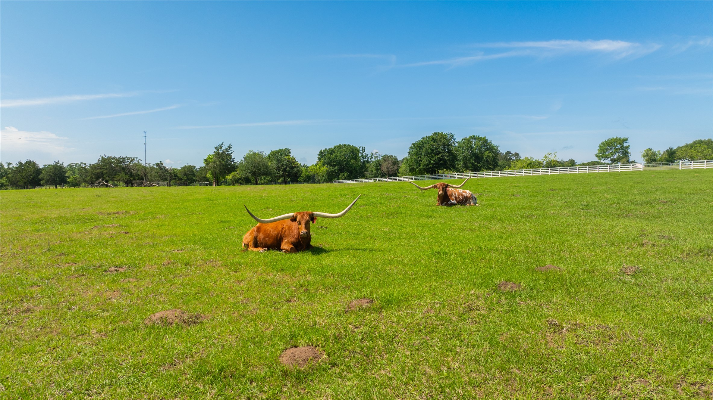 2228 Center Hill Road Bellville, TX 77418 - Photo 49 of 50