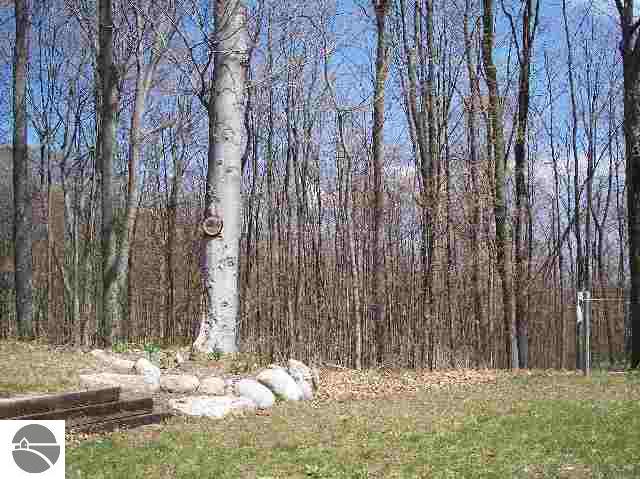 5340 Kalchik Road Omena, MI 49674 - Photo 9 of 9 1659817-8.JPG