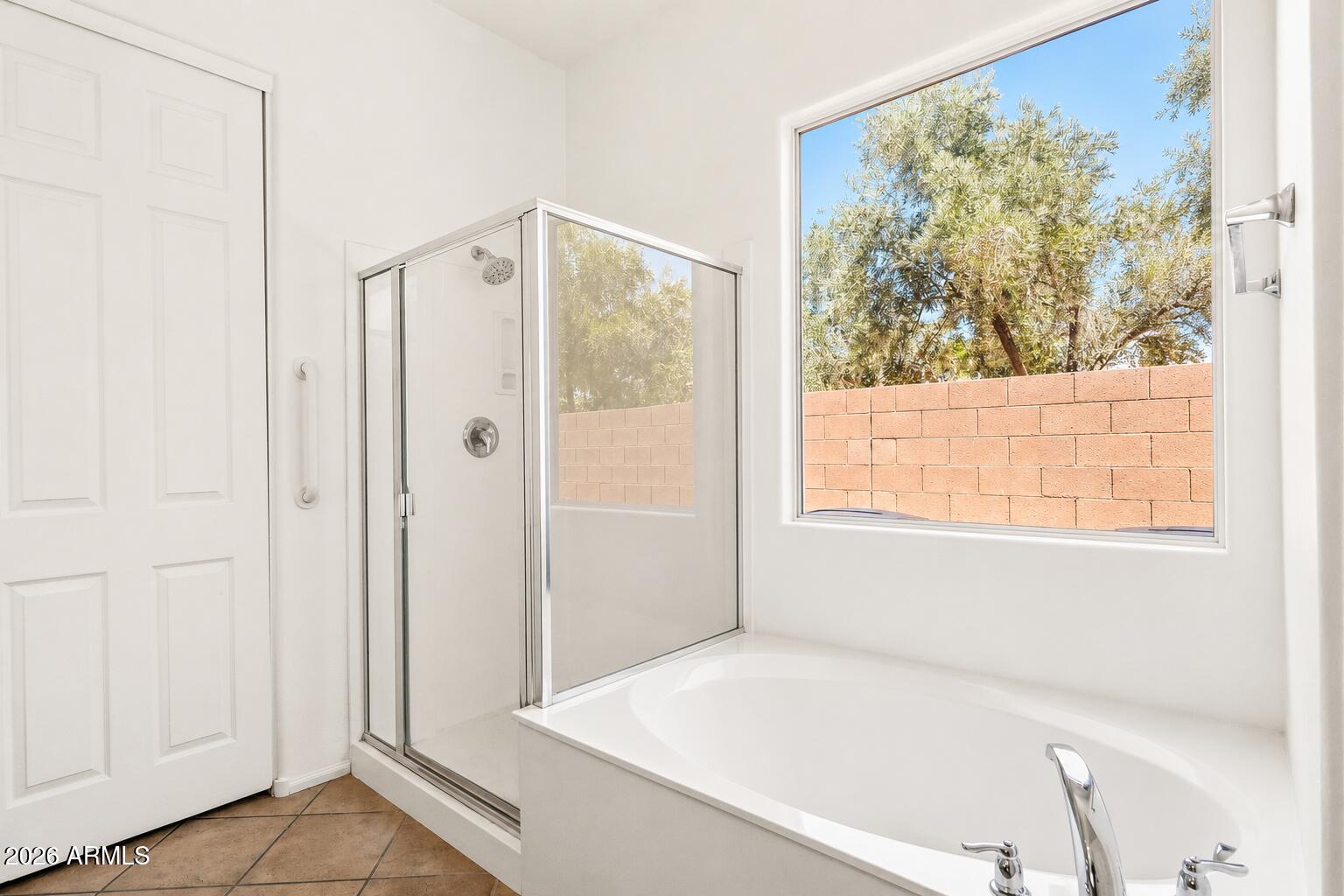 6229 South Moccasin Trail Gilbert, AZ 85298 - Photo 13 of 25 Separate Shower and Tub