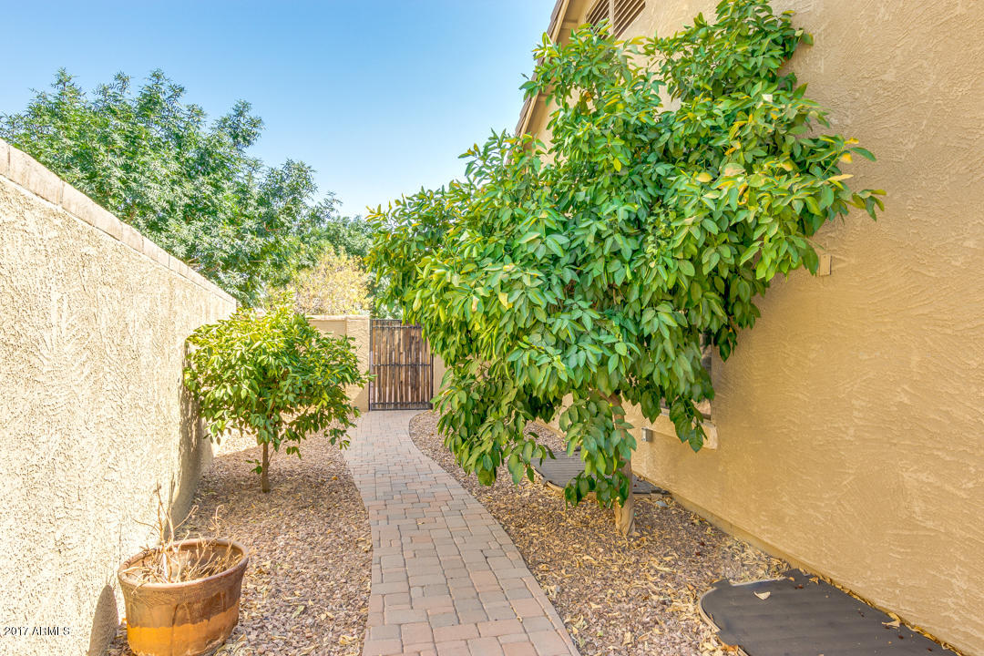 4186 East Los Altos Road Gilbert, AZ 85297 - Photo 46 of 53 48-Los Altos