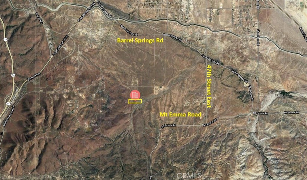 a close up of a tree