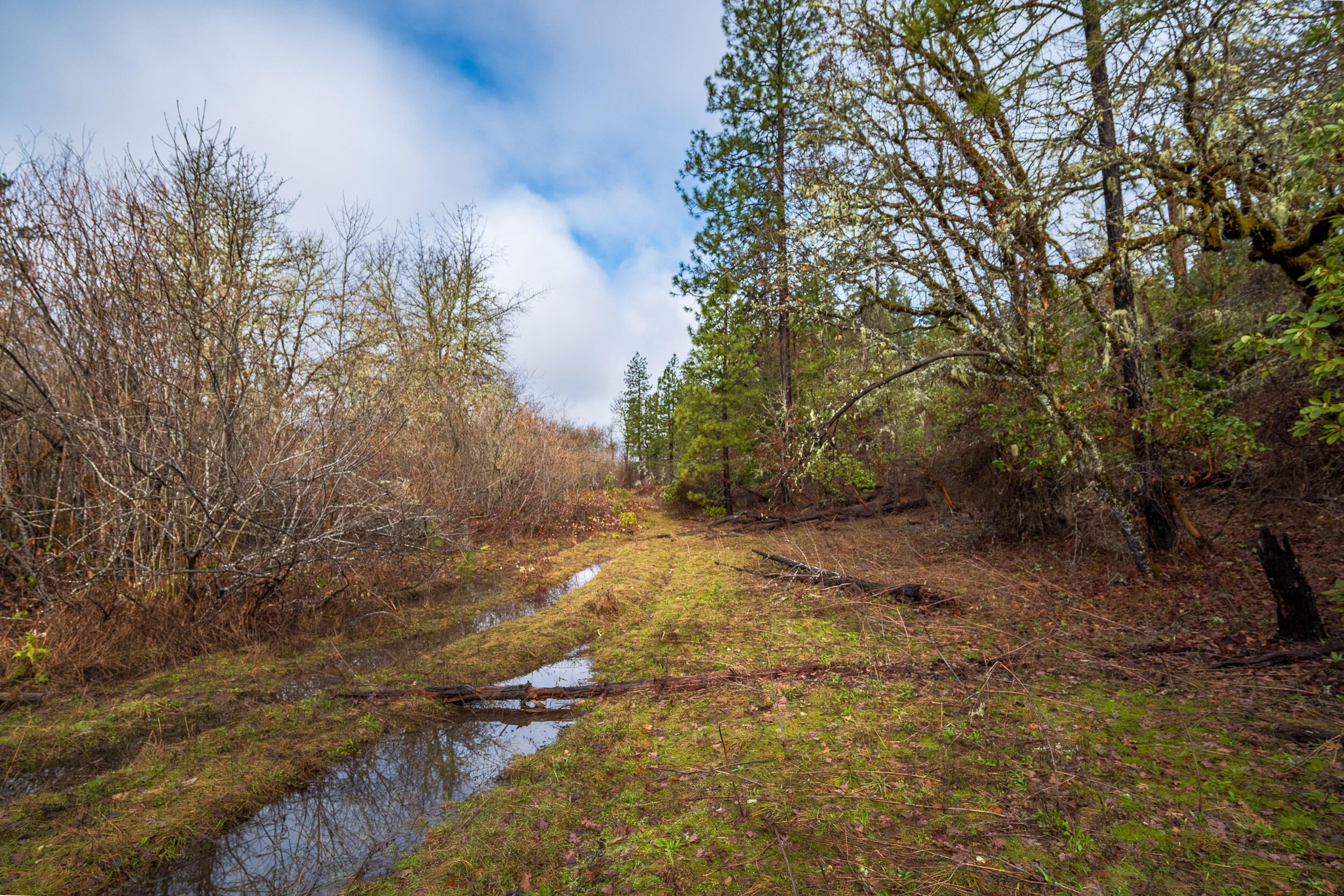 610 South Old Stage Road Cave Junction, OR 97523 - Photo 12 of 25 610SOldstageRd-015