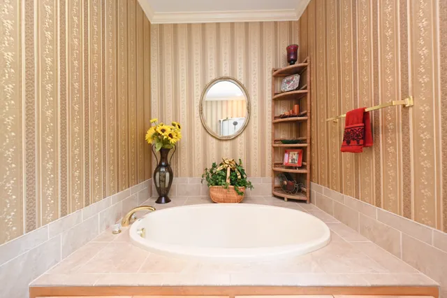 a close view of dining table chairs