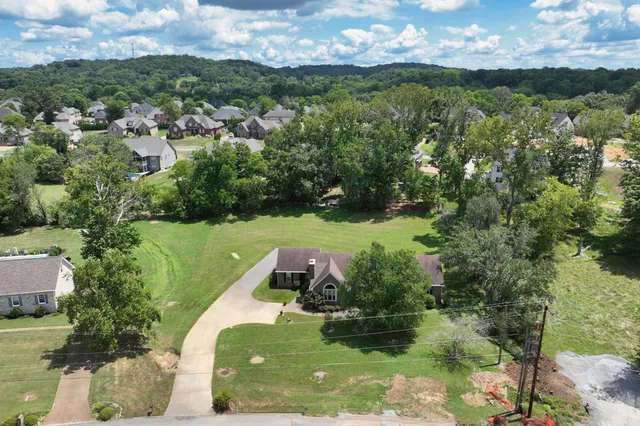an aerial view of green landscape with trees houses and mountain view