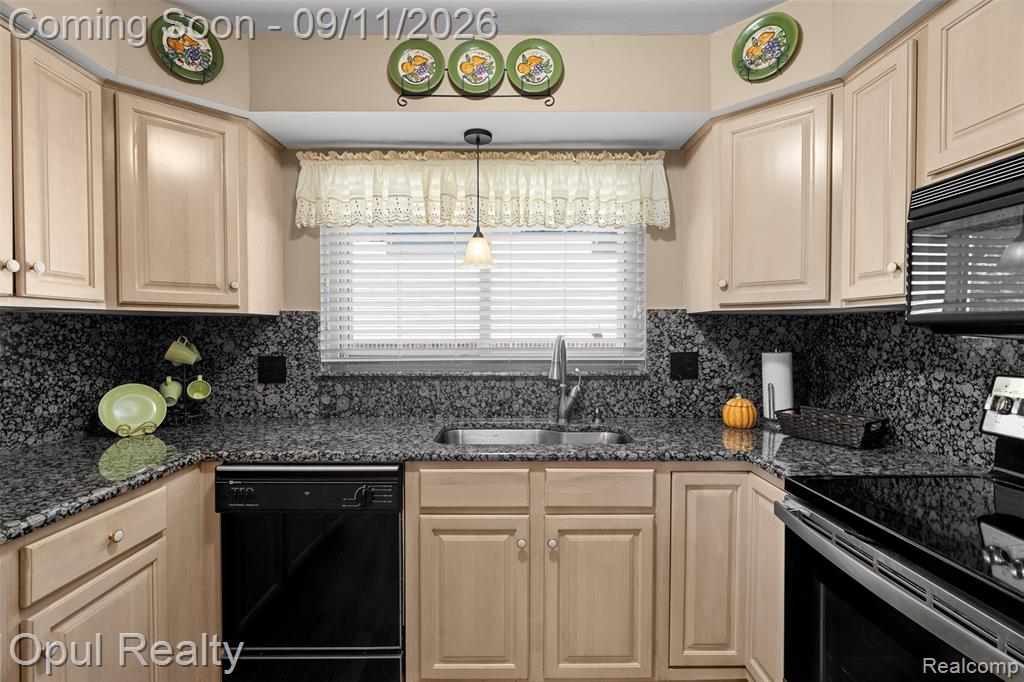 43615 Arlington Road Canton, MI 48187 - Photo 9 of 48 Gallery Image 9