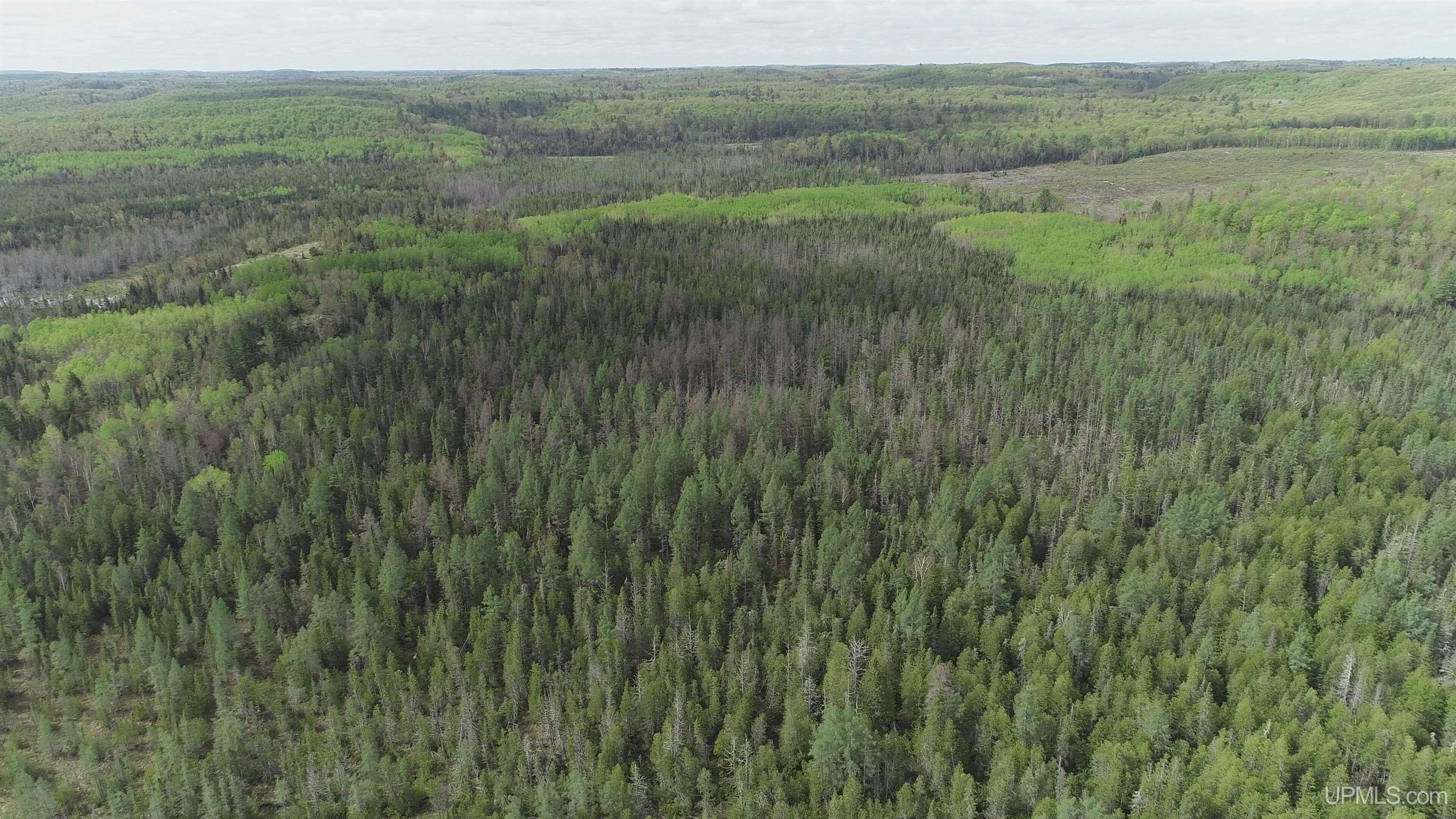 280-acres County Road CCN Road Negaunee, MI 49866 - Photo 37 of 48