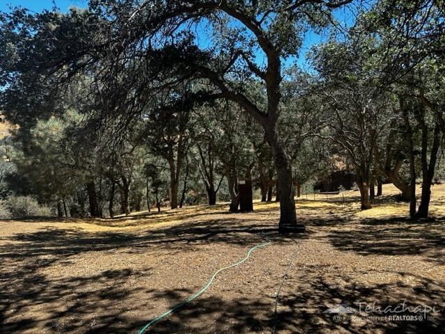 19386 Water Canyon Road Tehachapi, CA 93561 - Photo 3 of 8 Gallery Image 3