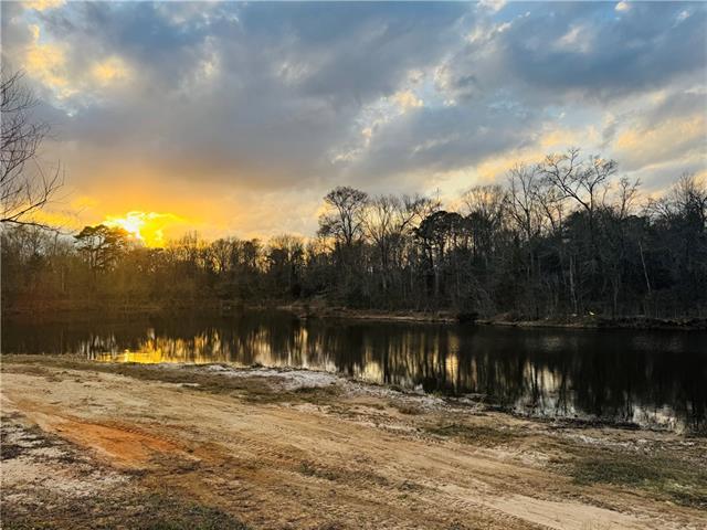 Lot 6 Holden's Run Road Franklinton, LA 70438 - Photo 2 of 12
