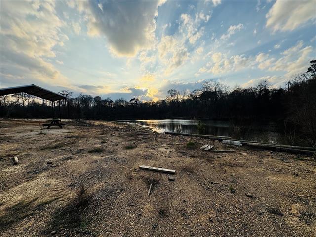 Lot 6 Holden's Run Road Franklinton, LA 70438 - Photo 4 of 12