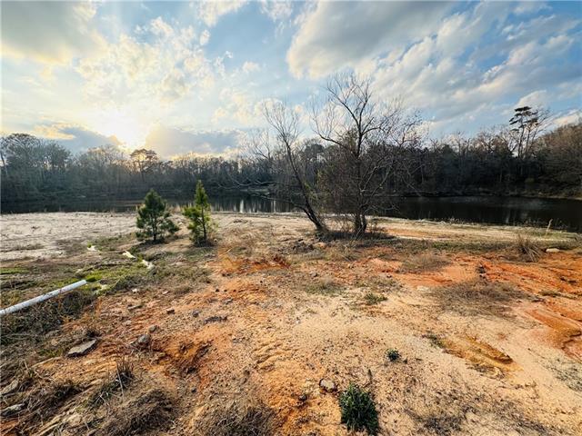 Lot 6 Holden's Run Road Franklinton, LA 70438 - Photo 5 of 12