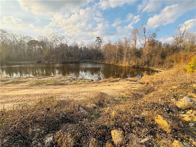 Lot 6 Holden's Run Road Franklinton, LA 70438 - Photo 6 of 12