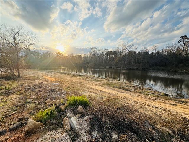 Lot 6 Holden's Run Road Franklinton, LA 70438 - Photo 7 of 12