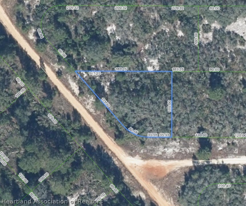 2884 Lynch Road Avon Park, FL 33825 - Photo 1 of 3 Gallery Image 1