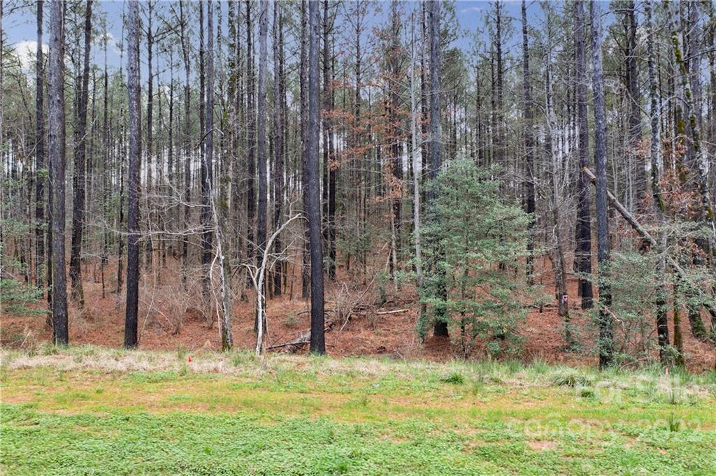 4351 Persimmon Road, Unit 64 Lancaster, SC 29720 - Photo 8 of 18 Gallery Image 8