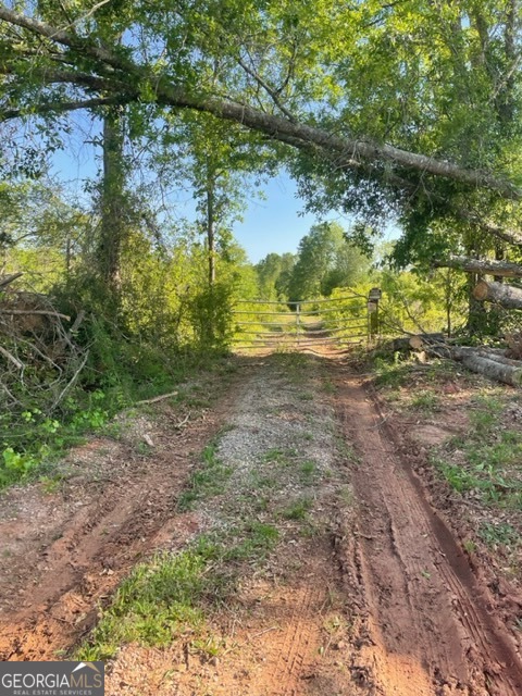 0 Maloy Road Griffin, GA 30224 - Photo 1 of 1 Gallery Image 1