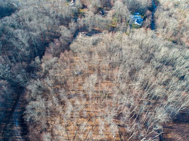 a view of a dry yard
