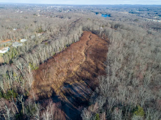 a view of a dry yard with green space