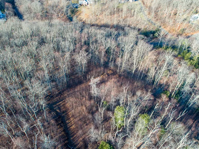 a view of a field with a tree