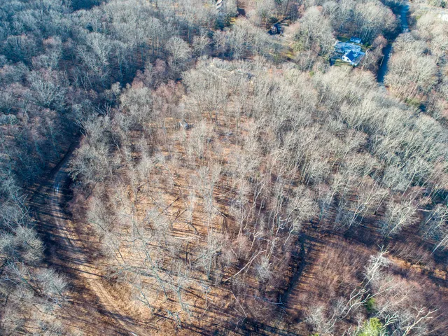 a close up of a snow on a field
