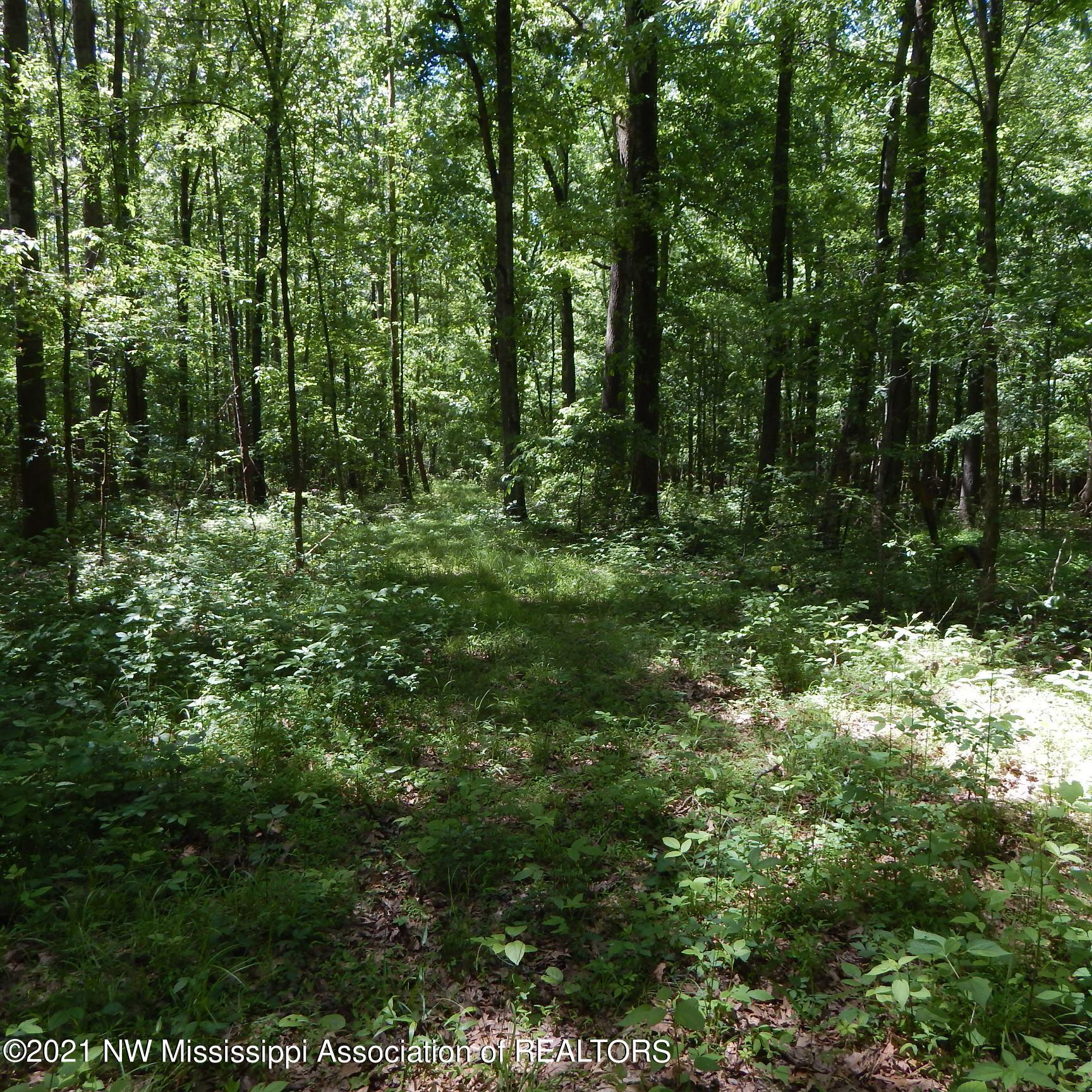 66 Kelly Crossing Road Coldwater, MS 38618 - Photo 13 of 40 Gallery Image 13