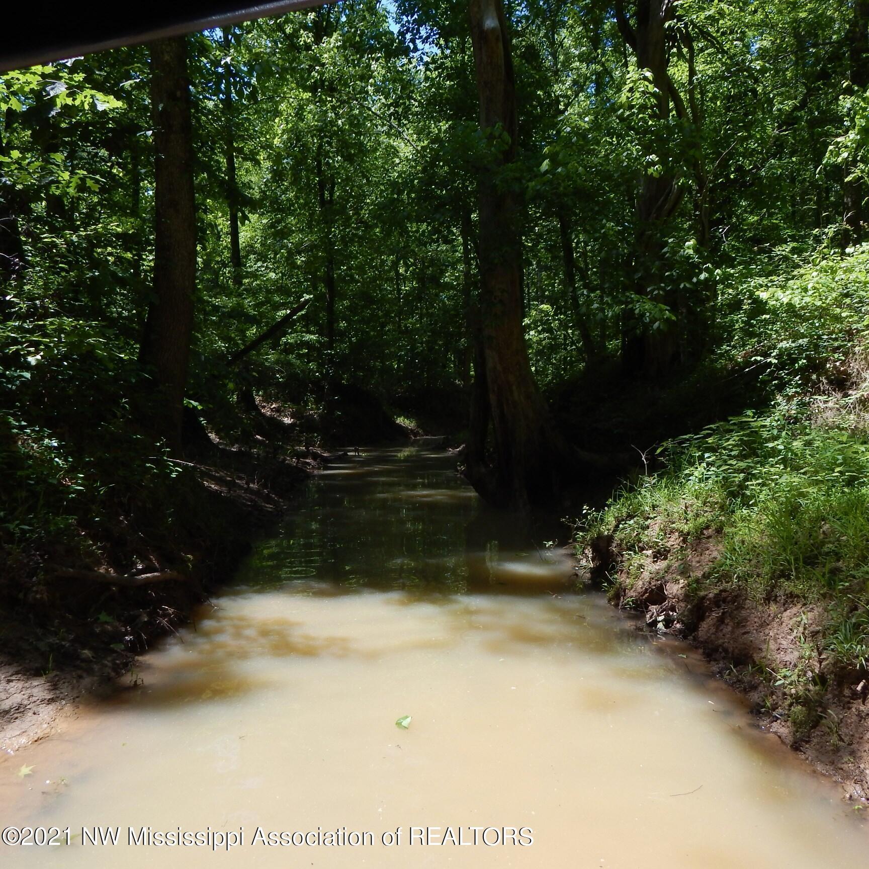 66 Kelly Crossing Road Coldwater, MS 38618 - Photo 20 of 40 Gallery Image 20