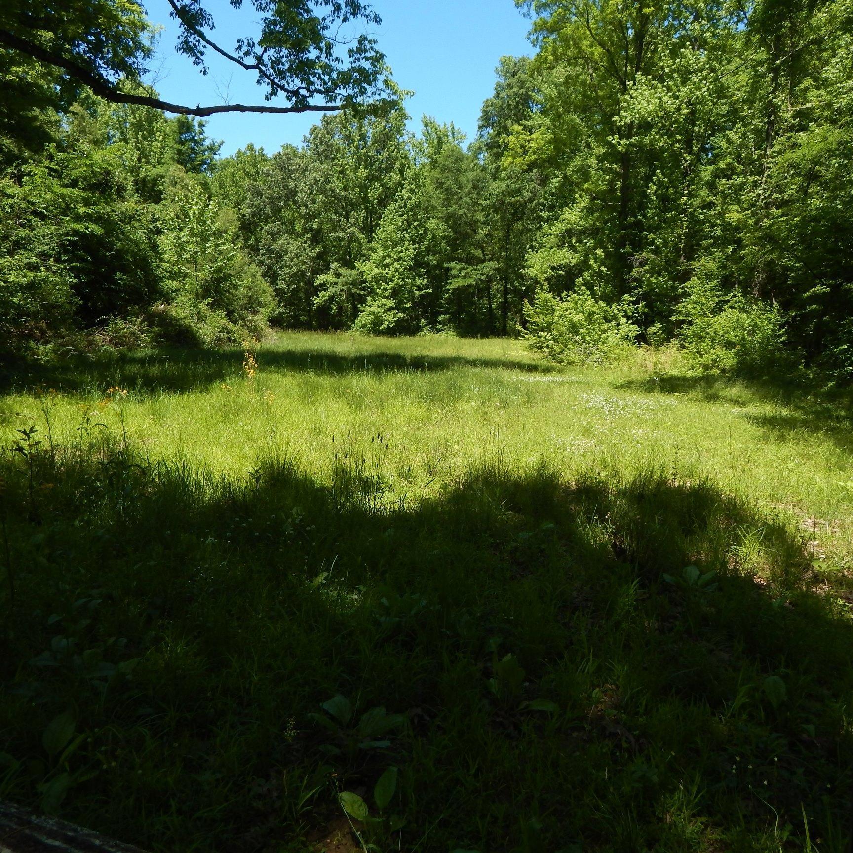 66 Kelly Crossing Road Coldwater, MS 38618 - Photo 22 of 40 Gallery Image 22