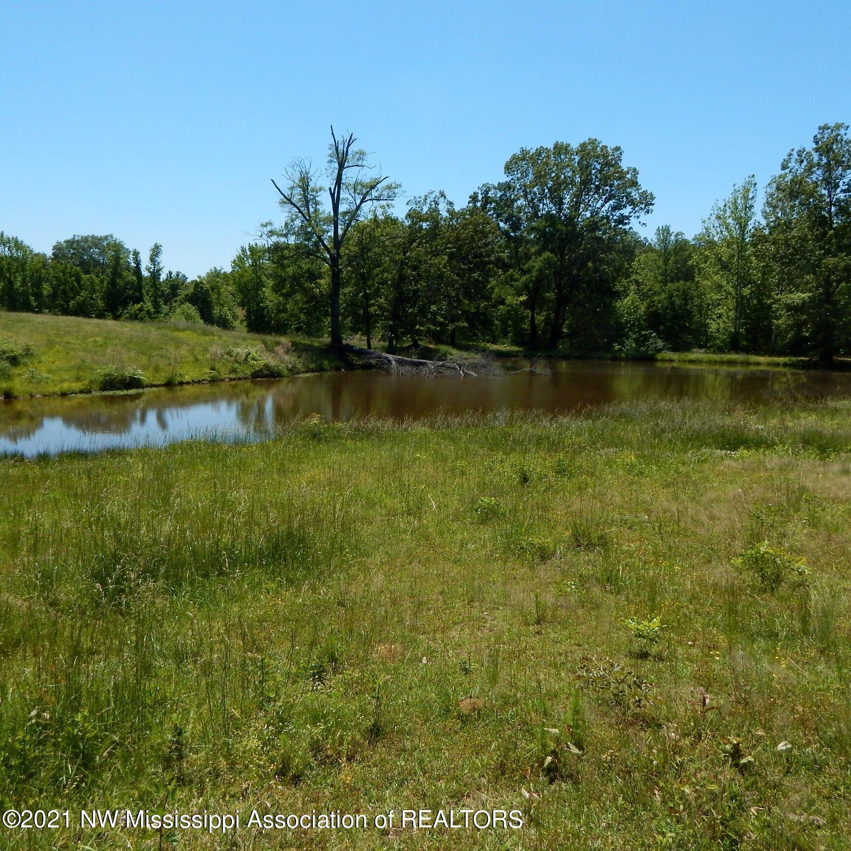 66 Kelly Crossing Road Coldwater, MS 38618 - Photo 23 of 40 Gallery Image 23