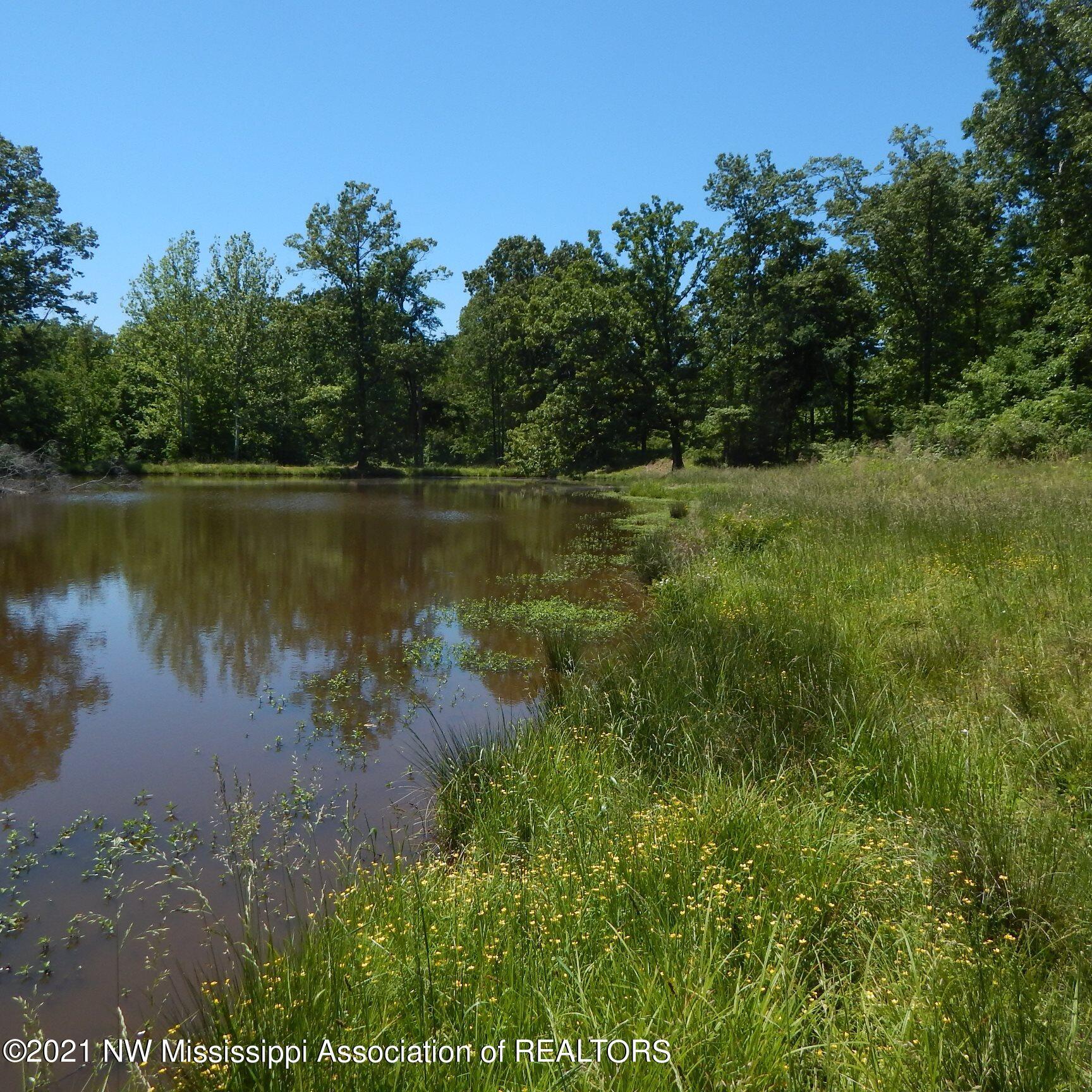 66 Kelly Crossing Road Coldwater, MS 38618 - Photo 24 of 40 Gallery Image 24